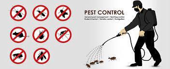 Pest Control Ghaziabad