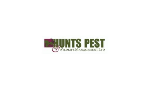 Pest Control St. Neots