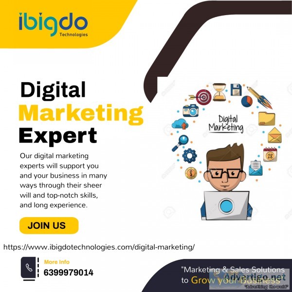 Best digital marketing experts in india