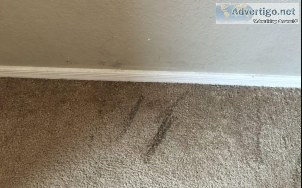 Best Carpet Water Damage Melbourne -Master Carpet Repair Melbour