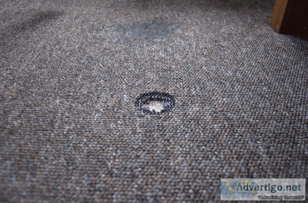 Professional Carpet Torn Repair Melbourne - Master Carpet Repair