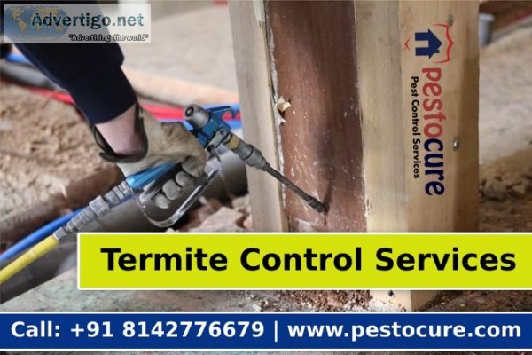 Affordable Termite Control Services in Gachibowli Manikonda