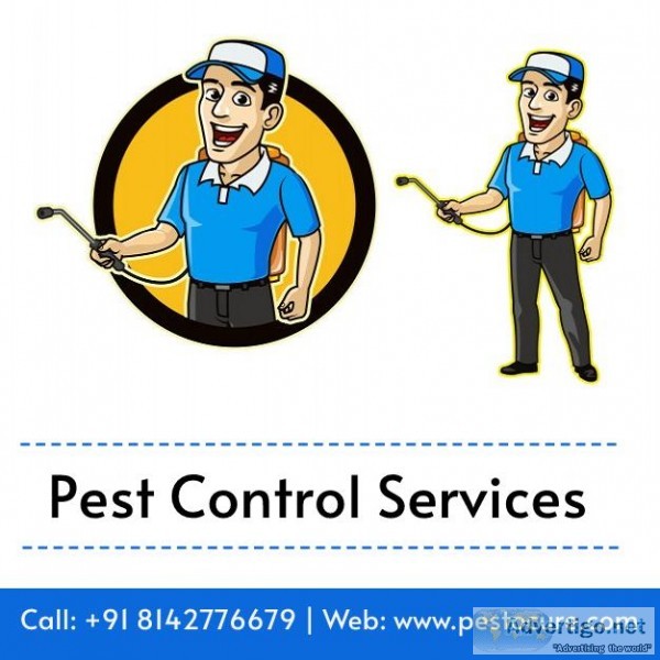 Top Institutional Pest Control Company in Hyderabad