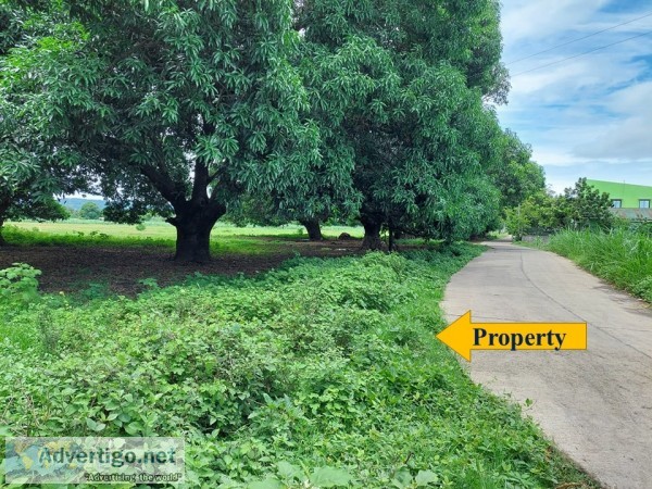 Very accessible farm land - lian batangas - rush sale 