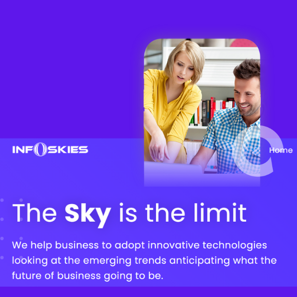 Software development company india - infoskies