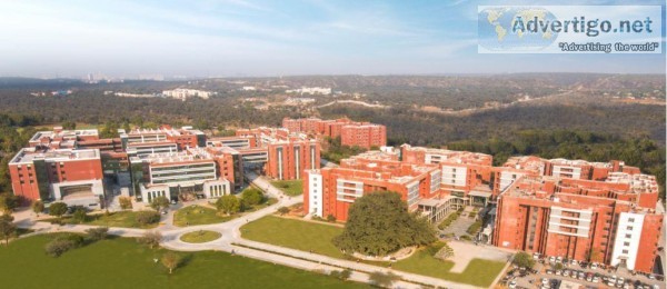 Start your career with the best BBA banking and finance college 