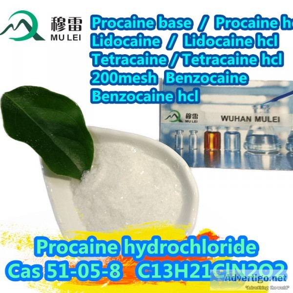 Good supplier hot selling procaine base procaine powder procaine