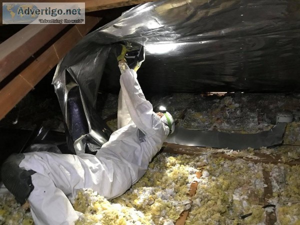 Attic Insulation