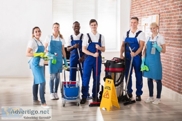 Carpet and pest control Brisbane