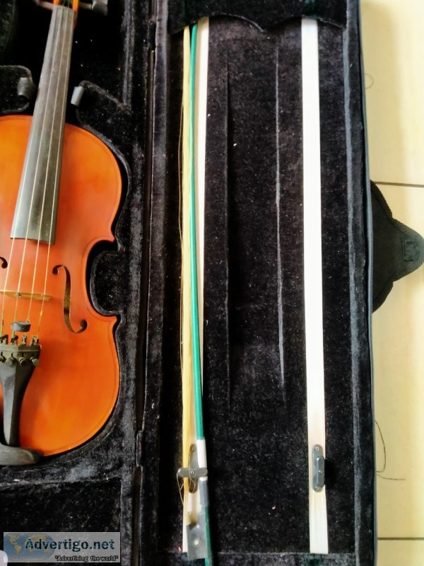 Biola violin merk stefano sabioni 4/4 tahun 2014 kondisi bagus