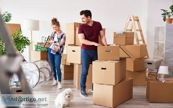 Benefits of hiring professional packers and movers in jaipur