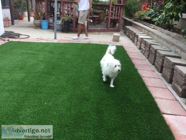 Artificial Grass for Dogs