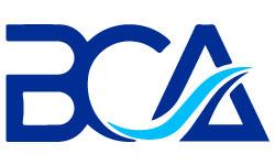 BCA Chartered Accountants Auckland  Chartered Tax Accountant Fir