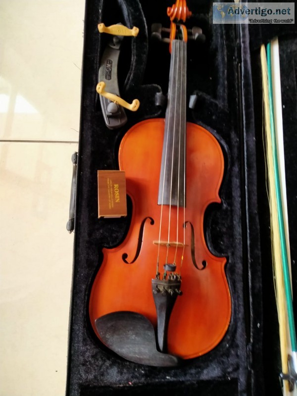 Biola violin merk stefano sabioni 4/4 tahun 2014 kondisi bagus