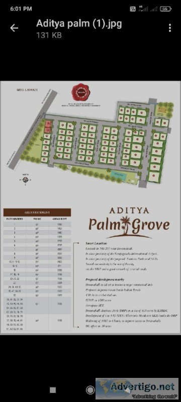 Aditya palm