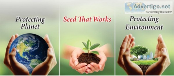 Hybrid seeds company in india