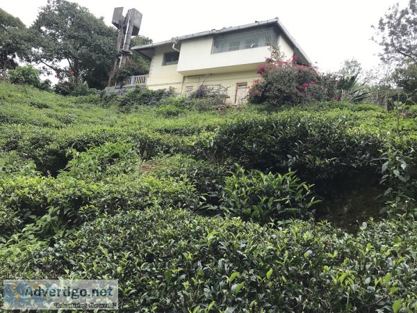 Independent house for sale in coonoor within your budget