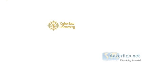 Cyber Law Books  Cyberlaw University