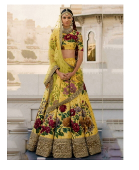 Get Stylish Lehenga Online  Ethnicplus.in