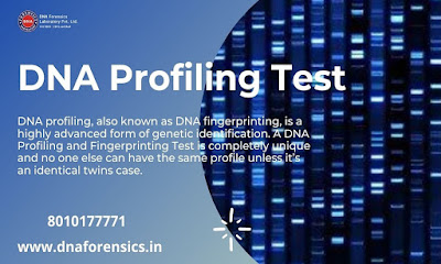 Get the best dna profiling test