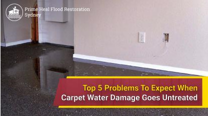 Water Damage Restoration services