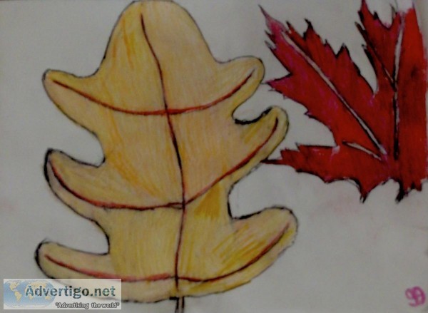 Autumn Fall Leaves 25 GG &ndash 9&rdquo x 12&rdquo Colored Penci