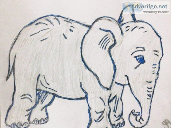 Elephant Art 2 GG &ndash 8&Prime x 11&Prime Colored Pencil