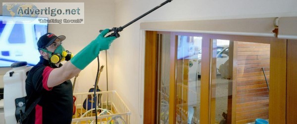 Recommended Pest Control Melbourne  Thelocalguyspestcont rol.com