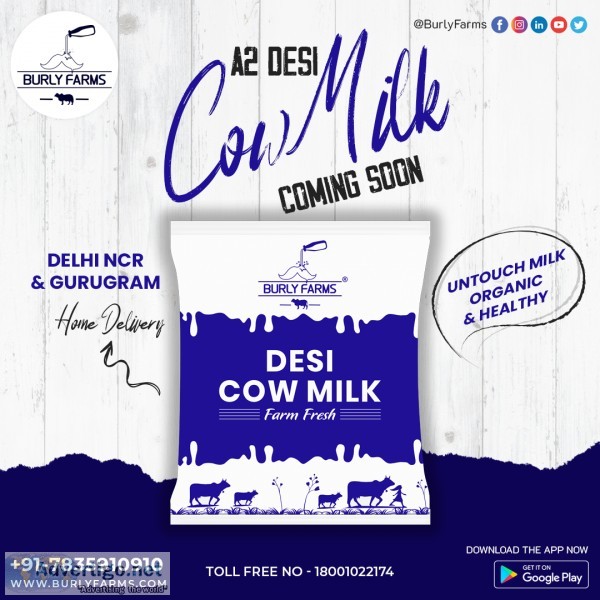 Desi cow ghee in gurugram