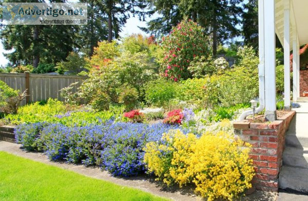 Shrubs That Are Low Maintenance