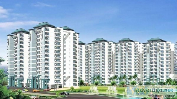 3 bhk flats in gurgaon for sale