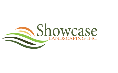 Are you Looking for the Best Mini Excavation Services in Langley