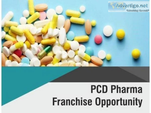 Best pharma franchise companies in india