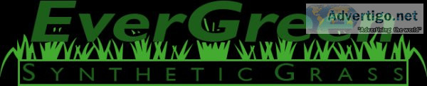 Evergreen synthetic grass