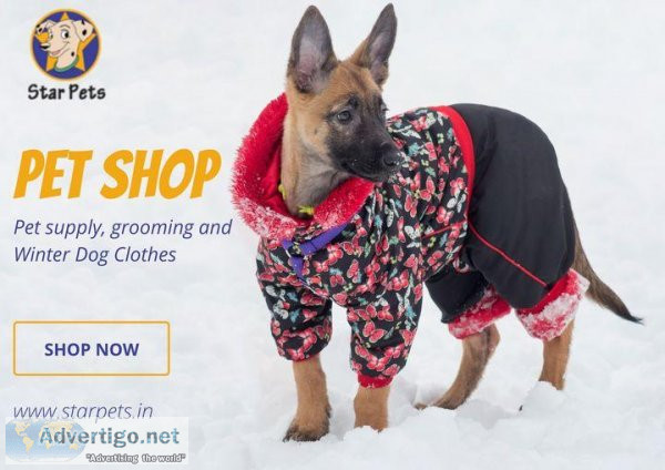 Pet Grooming in Gurugram