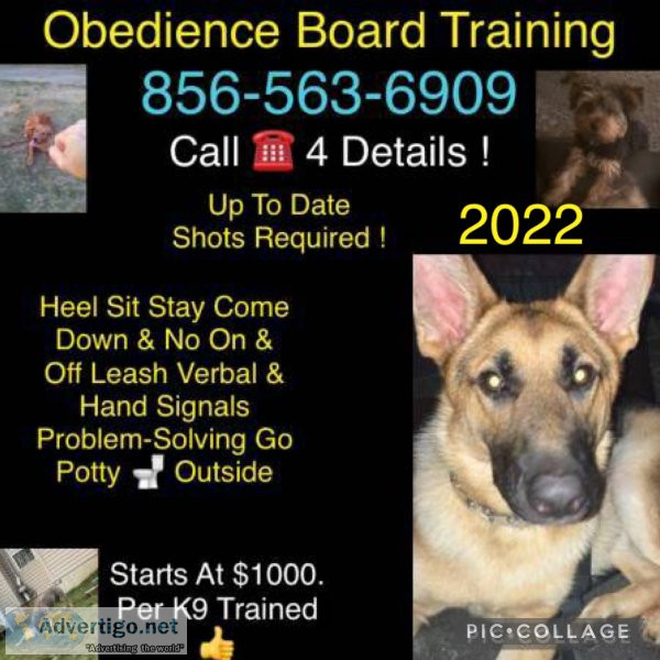 K9 control obed program offers