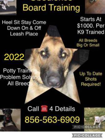 K9 control obed program offers