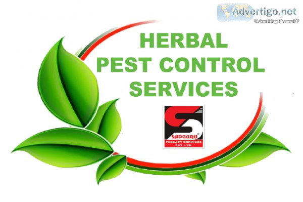 Pest control services in malad by sadguru pest control