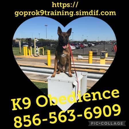 Affordable k9 solutions