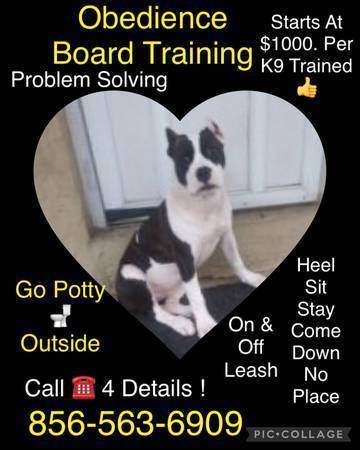 Affordable k9 solutions