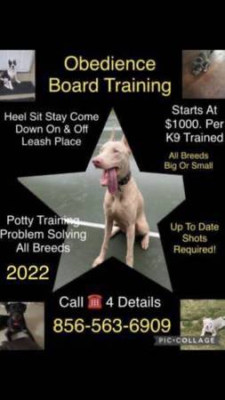 Affordable k9 solutions