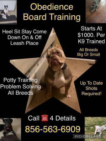 Affordable k9 solutions