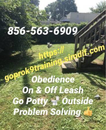 Affordable k9 solutions