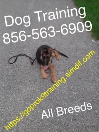 Affordable k9 solutions