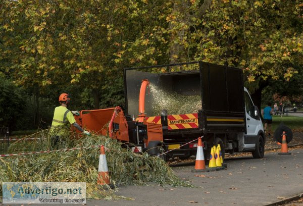 Tree surgeons in hertfordshire, north london