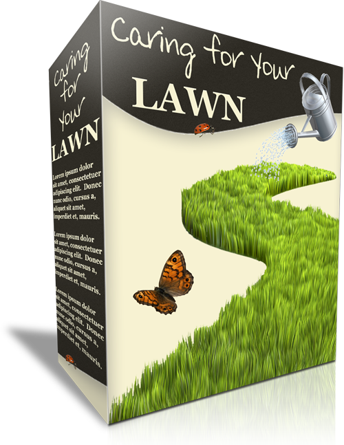 The Secret Of A Great Lawn Without Needing A Professional