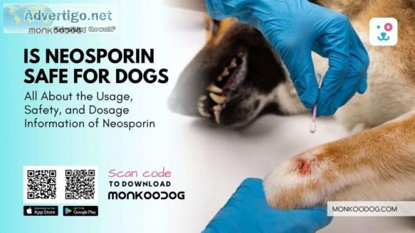 Is It Safe To Use Neosporin For Dogs Here Is All About The Usage