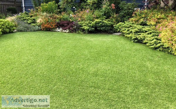 Buy artificial grass online for your backyard