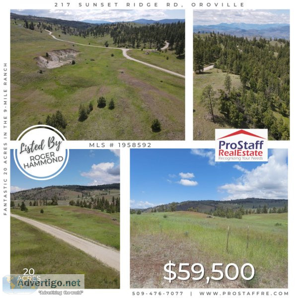 Fantastic 20 Acres in the 9-Mile Ranch