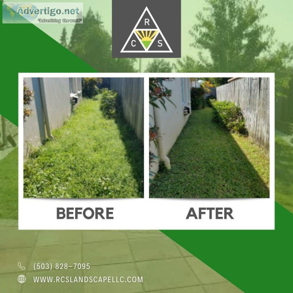 Professional Landscape Maintenance in Portland OR